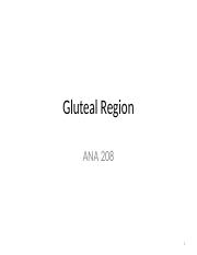 Gluteal Region_105712.pptx