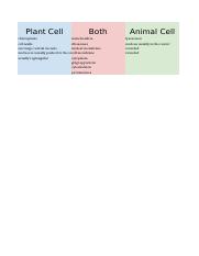 Plant Cell vs Animal Cell.xlsx