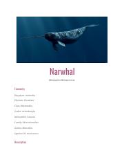 Narwhal.pdf