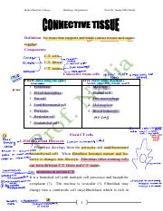 Connective Tissue - Copy.pdf