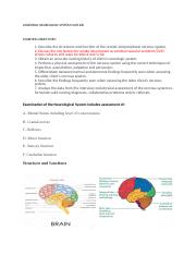 ASSESSING NEUROLOGIC SYSTEM OUTLINE.docx