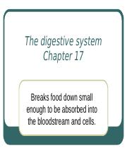 A&P II chapter 17 digestive system (2).pptx