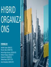 8. Hybrid Organizations.pptx