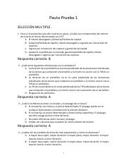 Pauta Prueba.pdf