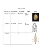 Classification of Joints Notes.docx