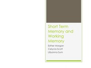 SHORT TERM AND WORKING MEMORY PPT