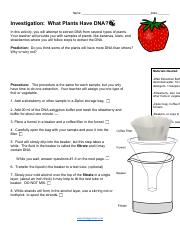 DNA Extraction Lab.pdf