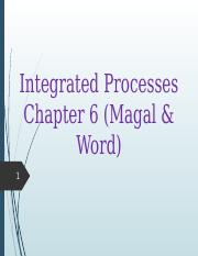 Chapter 6, Magal & Word — Integrated Processes