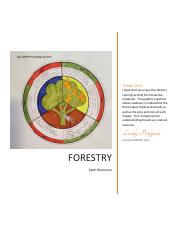 ForestryColoringActivityforInteractiveNotebooks-1.pdf