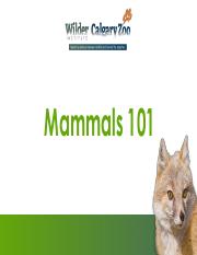 Mammals 101.pdf