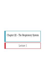 Chapter 22 – Respiratory System (Part 1).pptx