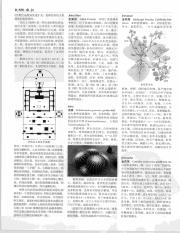 中国大百科全书11_540.pdf