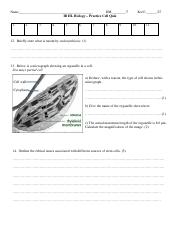 IB_HL_Cell_Quiz_Practice_2020.pdf