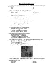 MITOSIS AND MEIOSIS REVIEW.pdf