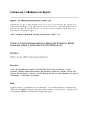 1.07 Lab Report Option 1.pdf