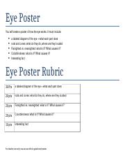 Eye Poster.docx