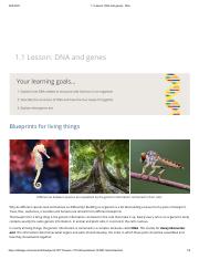 1.1 Lesson_ DNA and genes - Stile.pdf