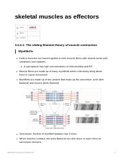 skeletal_muscles_as_effectors.pdf
