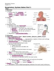 Respiratory system review.pdf