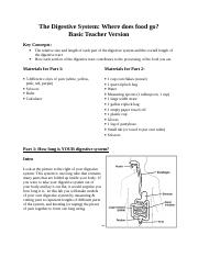 Digestive System Lab-Basic Teacher Version.doc