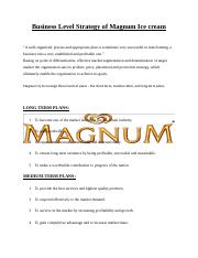 Business Level Strategy of Magnum Ice cream.docx