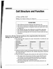 cells 2020.pdf