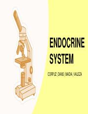 HISTLAB-A-S03-T04-Endocrine-System.pdf