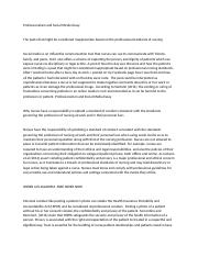 essay on professionalism in social work