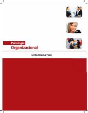 Psicologia-Organizacional.pdf