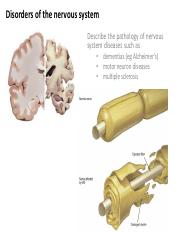 Neuro disorders handout.pdf