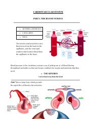 10. Circulatory System (CS) - Shakhshir.pdf