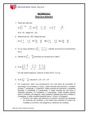 P6 - MATEMÁTICA I.pdf