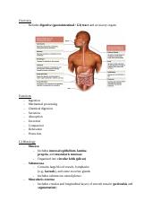 Chapter 25_ Digestive System.docx