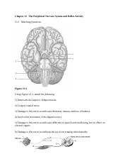 ch_13_worksheets