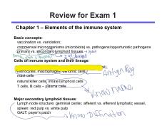 Review for Exam 1.pdf