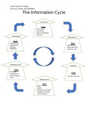 The Information Cycle.docx