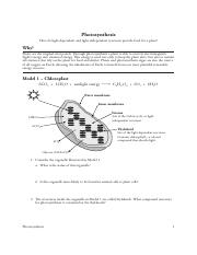 Photosynthesis POGIL .pdf