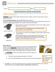 Answer Key - Rainfall & Bird Beak Student Exploration Worksheet.pdf