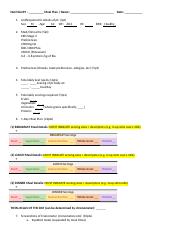 Meal Plan Template (2).docx