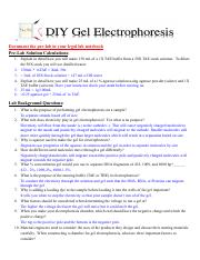 Copy of Biotech II_ DIY Electrophoresis Lab Sheet - Google Docs.pdf
