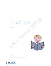 A.N.A Tutorial 小三中文練習.pdf