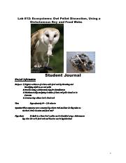 Bio_Key_assignment_3_Ecosystems_-_Barn_Owl_Pellet_Dissection.docx