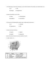 Exercise final test for 9th grade.doc.docx