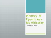 Memory of Eyewitness Identification