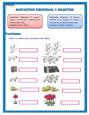 SUSTANTIVOS COLECTIVOS INDIVIDUAL (1).pdf