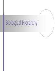1-Biological Hierarchy - PPT slides.pdf