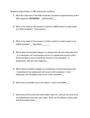 response sheet section 2 RNA and Protein sythesis.pdf