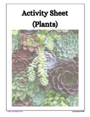 15. All about Plants worksheet.pdf
