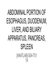ANATLAB-A-S04-T01-ABDOMINAL-PORTION-OF-ESOPHAGUS-DUODENUM-LIVER-AND-BILIARY-APPARATUS-PANCREAS-SPLEE