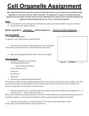 391 The Cell - Organelle Disease Worksheet answer.pdf